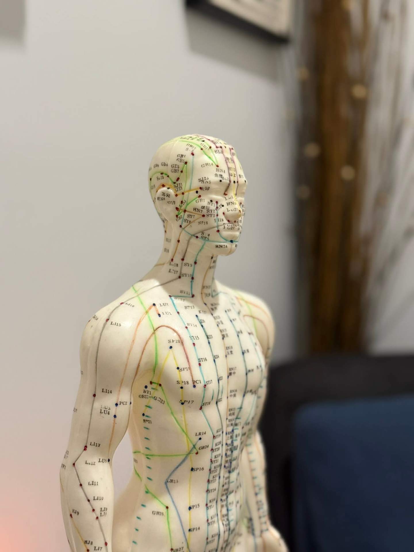 Approche neuro-fonctionnelle