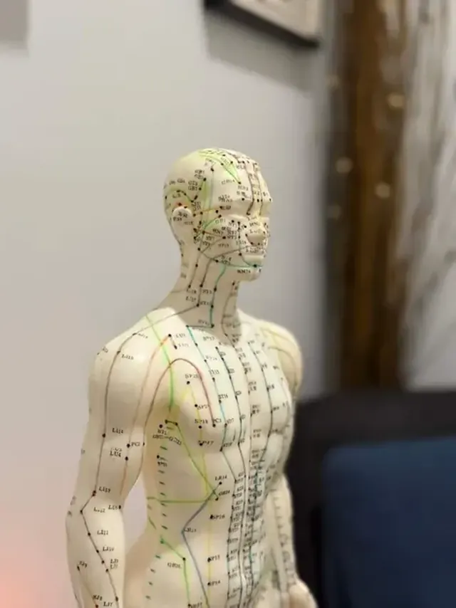 Approche neuro-fonctionnelle